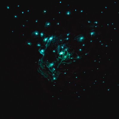 real-journeys-400x400x